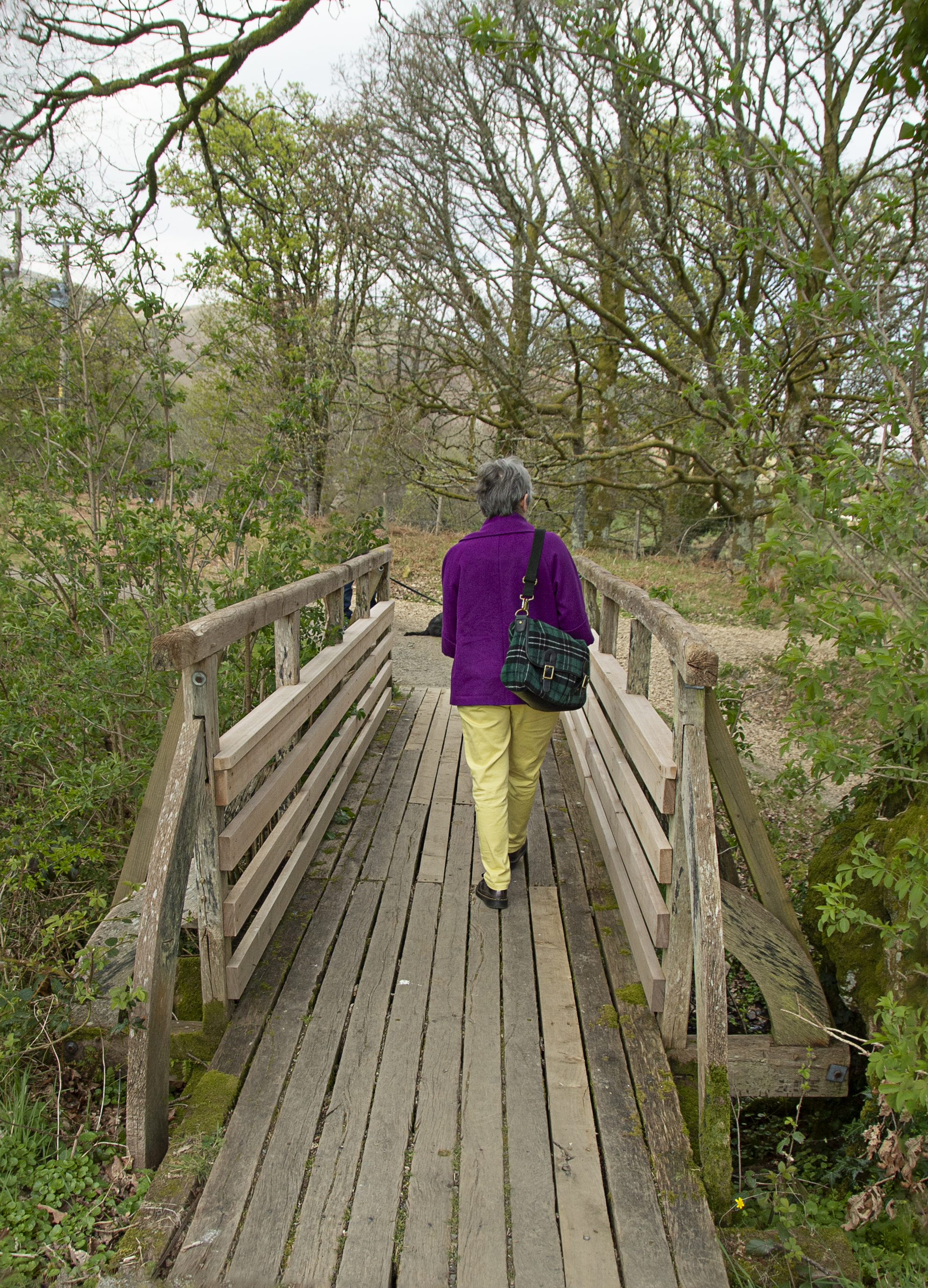 ‘Walking Tour Loch Lomond’