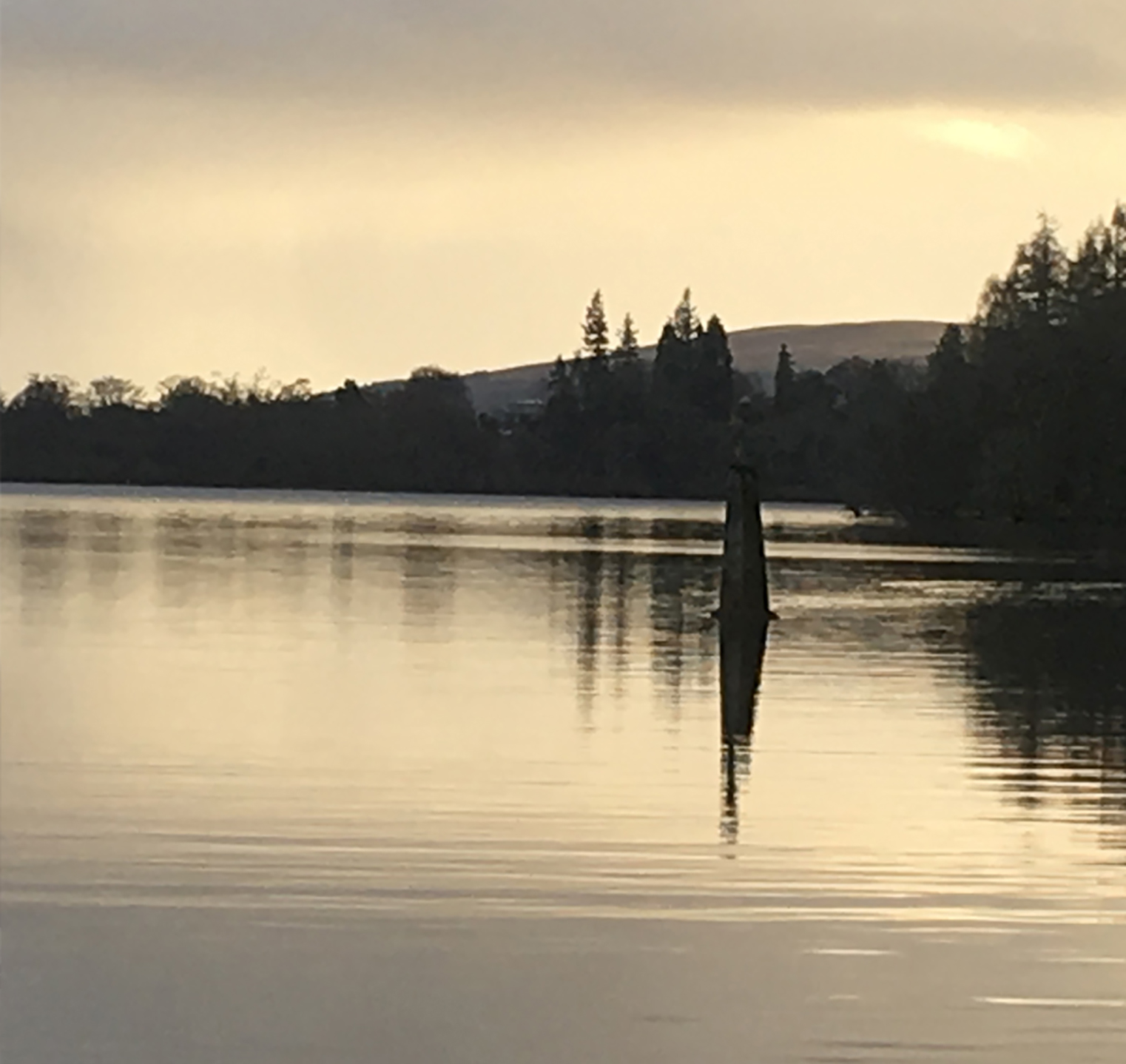 Home-Argyll-Walks