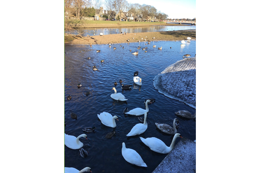 john-muir-way-stage-12